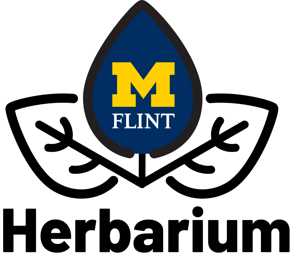 Logo featuring a blue water droplet with a yellow "M" and "FLINT" text, surrounded by two white leaves.