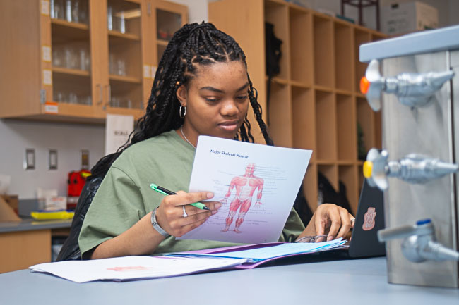 A student reviews a skeletal muscle anatomy handout at a lab bench.