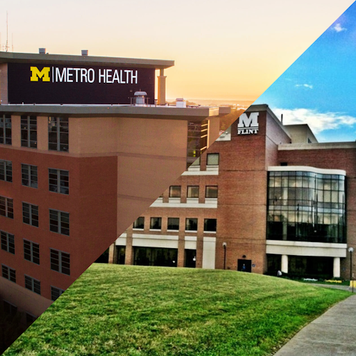 Image shows two buildings: one with a sign for "M Metro Health" and the other labeled "M Flint," set against a sunset sky.