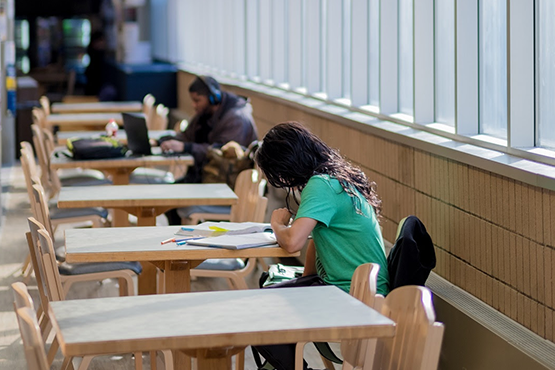 Students studying in a dining hall