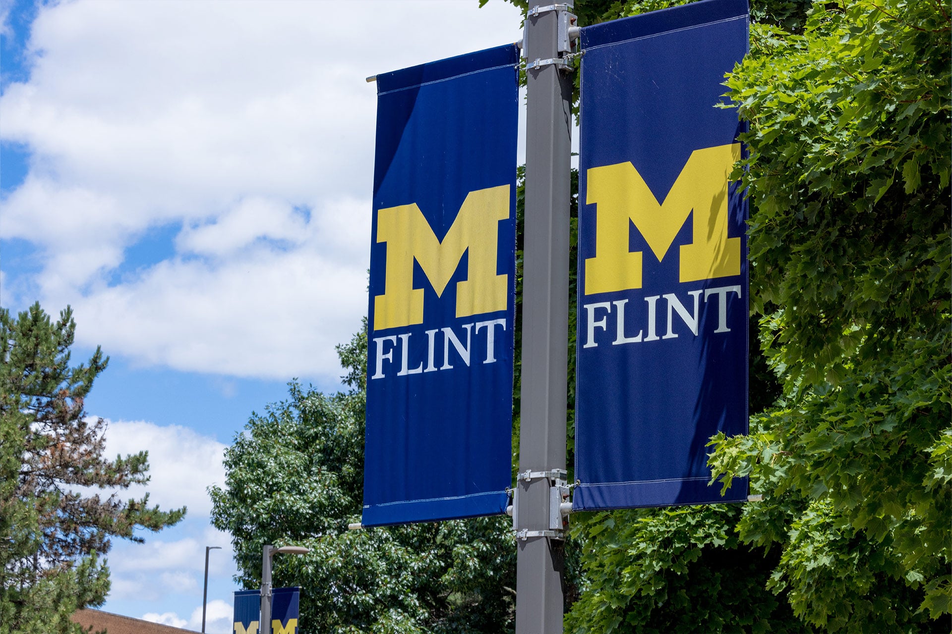 Banners displaying "M FLINT" in yellow text on a blue background, surrounded by green trees and a partly cloudy sky.