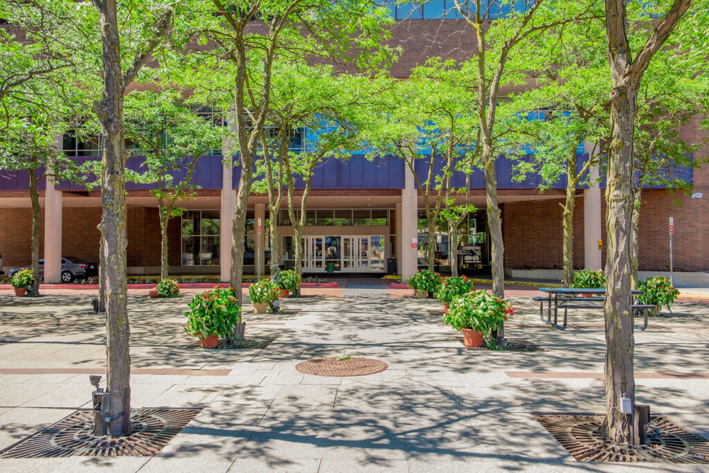 A view of a building entrance framed by trees and potted plants, with a paved area and a bench in the foreground.