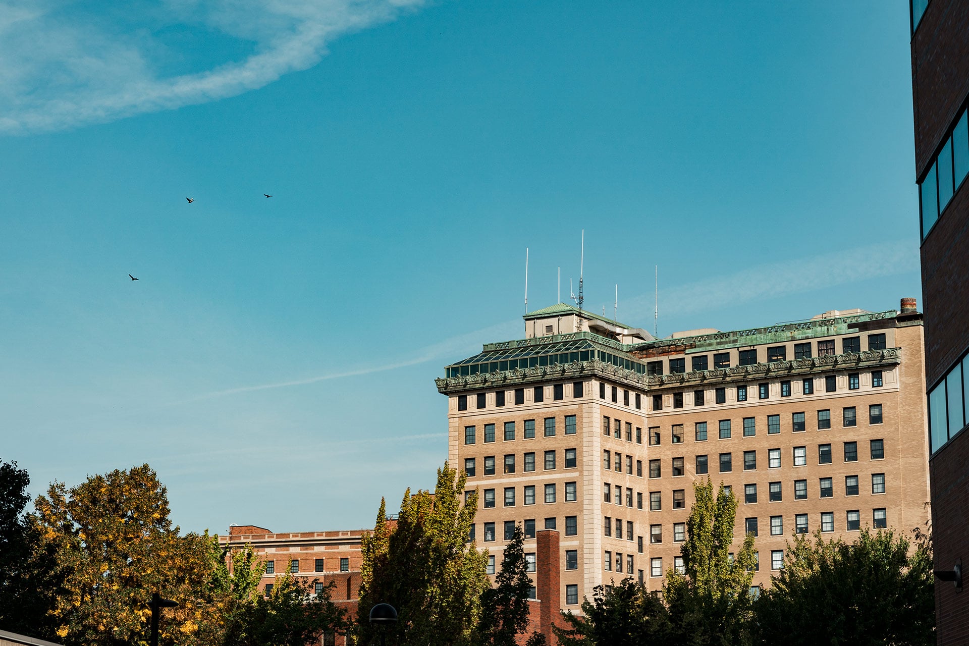 A tall building with a green roof and multiple antennas, surrounded by trees, under a clear blue sky with a few birds flying.